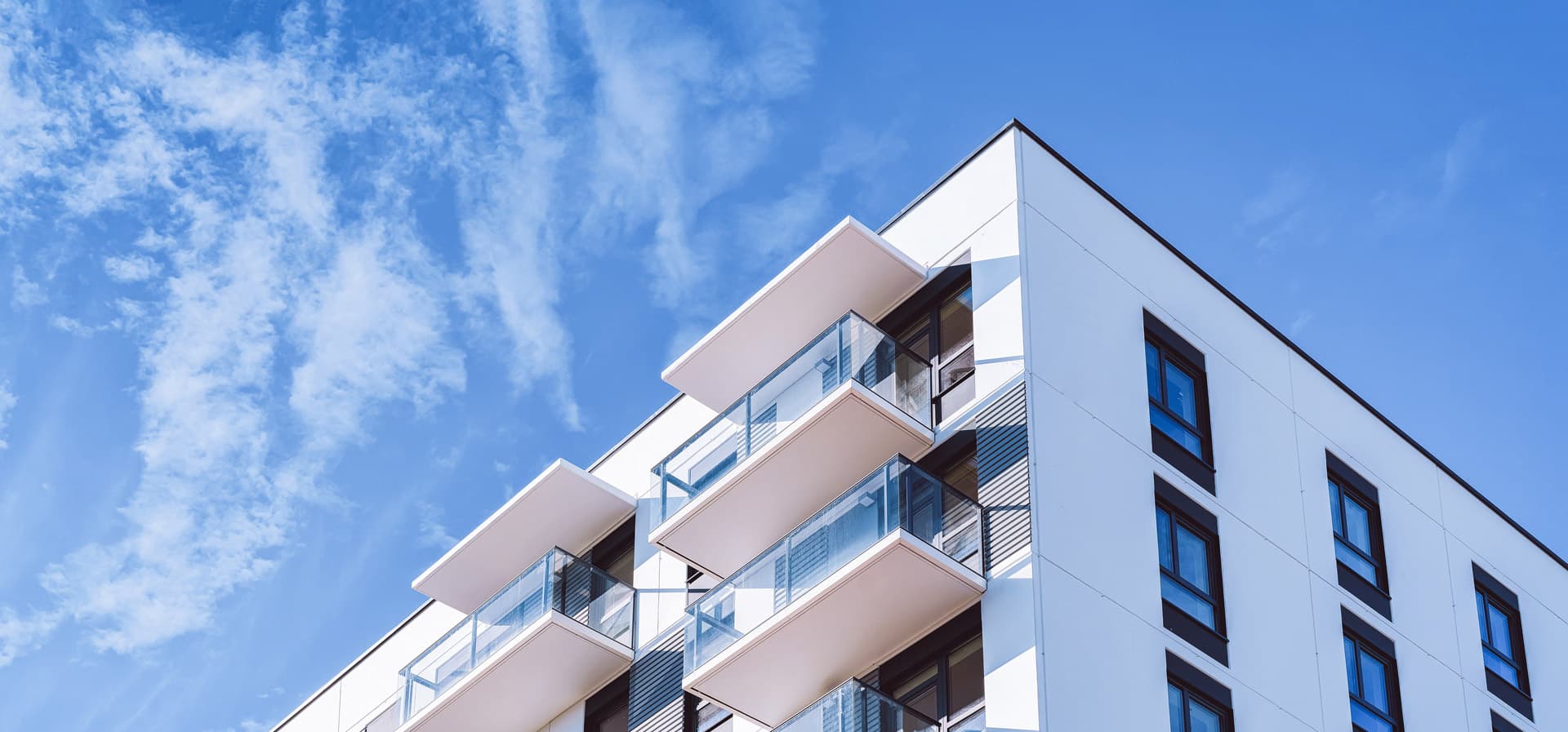 Confía en nosotros para tus proyectos de construcción